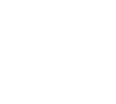 Nareez Jewellery website