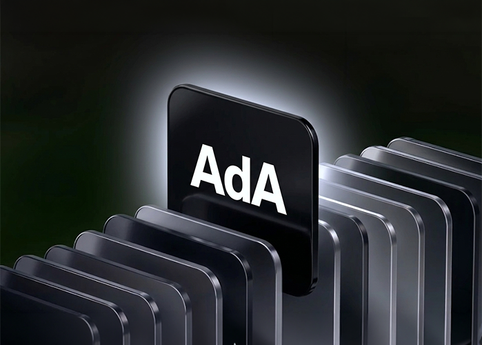 Right Web Development Partner for Your Business